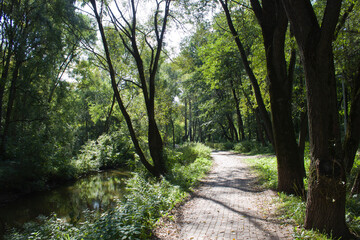 Paved path along the river bank in the park