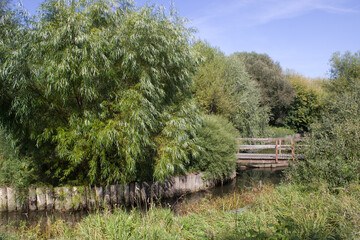 A large willow tree and a wooden bridge in the park