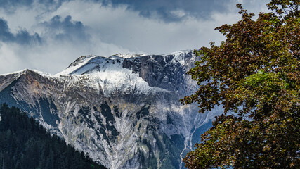 Fr&uuml;hling in der Steiermark Hochschwab Gebiet Thoerl