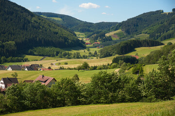 Fototapeta na wymiar Hofstetten im Kinzigtal im Schwarzwald