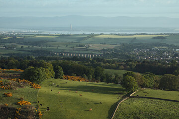 Top view of a rural Scottish landscape with villages, grazing cows, a stone bridge, sea and...