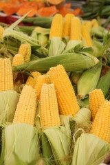 Corn cobs for sale in the market