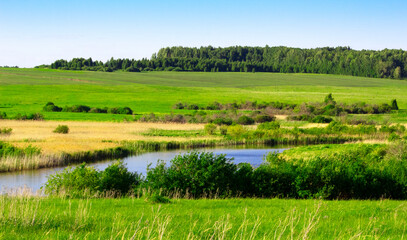Fototapeta na wymiar Summer water landscape of the southern Urals.