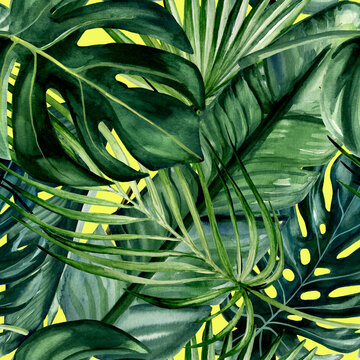 Watercolor hand painted seamless pattern with green tropical leaves of monstera, banana tree and palm on yellow background.