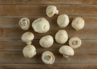 fresh mushrooms. champignon mushrooms on a wooden background