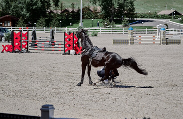 Horseman falls from a black horse in show jumping competitions