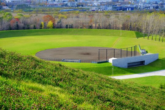 Top View of Baseball Field in Public Park.