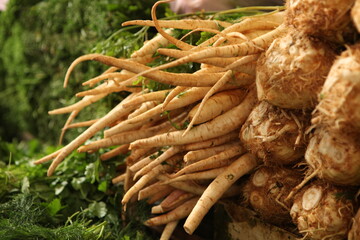 Root of cooking celery for sale in the market
Root of celery for cooking