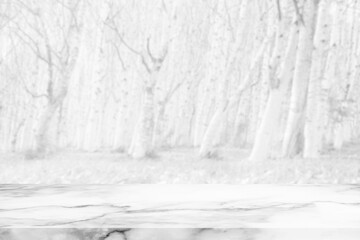 Marble Table with Blurred White Forest in the Autumn Background.