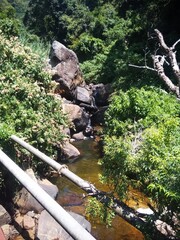 waterfall in the forest