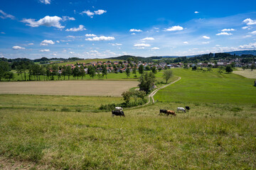 Fototapeta premium Oberreitnau bei Lindau am Bodensee