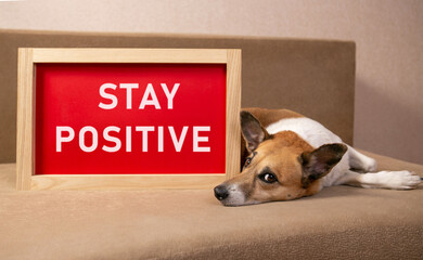 Stay Positive card with colorful background with defocused lights
