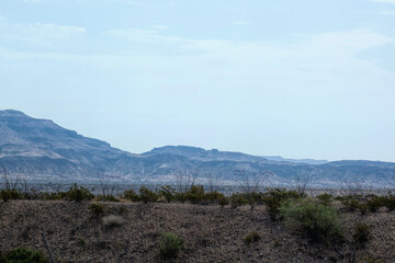 Desert landscape with distant mountains