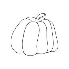 Vector pumpkin hand drawn outline doodle illustration isolated image, food sketch in simple hand drawn doodle style clipart for Halloween, autumn holidays design