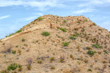 Fototapeta na wymiar Desert landscape with distant mountains