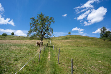 Oberreitnau bei Lindau am Bodensee