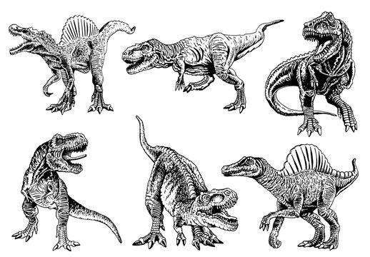 Graphical hand-drawn set of  dinosaurs  isolated on white,vector illustration for typography,design and tattoo