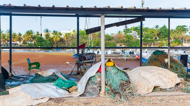 Abri de p&ecirc;cheur avec des filets de p&ecirc;che entass&eacute;s, des bou&eacute;es et du mat&eacute;riel de p&ecirc;che devant le port de Saint-Felix rempli de sargasses brunes avec une colline arbor&eacute;e &agrave; l'arri&egrave;re plan et un ciel bleu