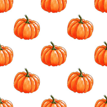 Seamless pattern with bright orange pumpkins on white background