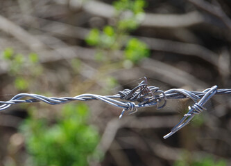 Close-up macro view of a piece of a barbed wire fence withe a blurred out background