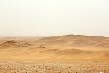 Tourist traveling on camel on the dunes and desert to see the Pyramids of Giza
