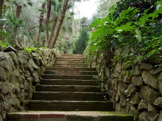Jardín Botánico Histórico, Barcelona