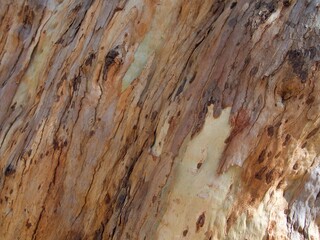 Parc del Castell de l'Oreneta, Barcelona