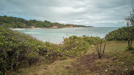 Fototapeta na wymiar Spot de surf du Helleux en Guadeloupe une journée nuageuse, avec la végétation au premier plan, la baie avec de petites vagues et quelques surfeurs et la colline arborée à l'arrière plan