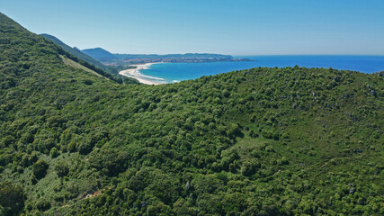 Fototapeta na wymiar Imagen aérea de una montaña boscosa, al fondo se ve una playa de arena blanca y el mar