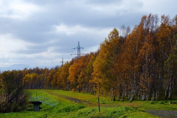 Moerenuma Park in Autumn Season where is a Famous Landmark of Sapporo, Japan.
