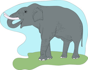 vector color illustration, gray elephant hand-drawn. Animals in nature