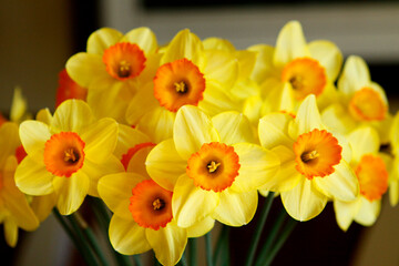 Bouquet of Yellow and Orange Jonquils