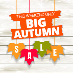 Autumn sale poster of discount promo web banner for fall seasonal shopping with hanging maple leaf. Vector fall leaf sale tags for Shop market poster design. Offer template advertising.
