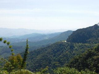 Valley