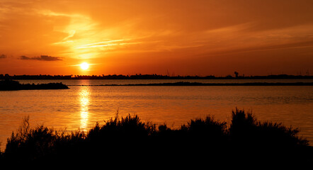 Fototapeta na wymiar Beautiful sunset on a lake. Golden our.