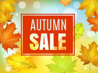 Autumn sale web banner. Shiny backdrop with seasonal special offer. Beautiful background with the falling leaves. Vector illustration. EPS 10