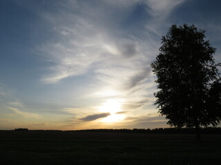 Fototapeta na wymiar orange sunset on the background of trees