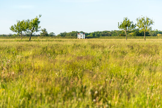 Single white villa on the edge of a dike with an idyllic meadow in vockerode