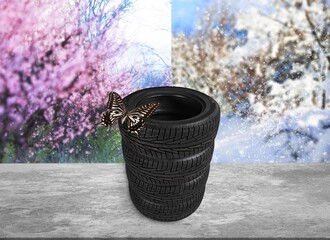Tire.