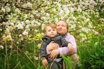 An elderly woman hugs her grandson. Portrait of a grandmother and child. Outdoors in the garden. Spring Park. Flowering tree. Emotions of a child and a woman.