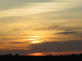 Fototapeta na wymiar orange sunset in the field