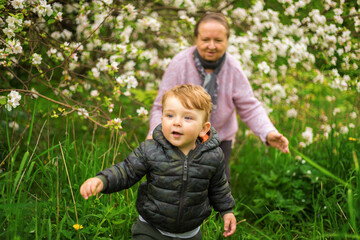 An elderly woman hugs her grandson. Portrait of a grandmother and child. Outdoors in the garden. Spring Park. Flowering tree. Emotions of a child and a woman.