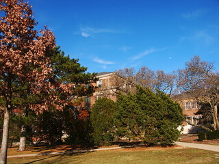 University of Illinois at Urbana Champaign campus building in winter