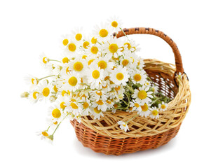 Fototapeta na wymiar Beautiful white chamomile in a basket.