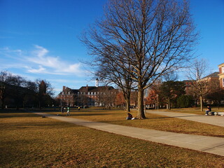 University of Illinois at Urbana Champaign campus building in winter