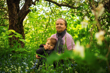 Naklejka na ściany i meble An elderly woman hugs her grandson. Portrait of a grandmother and child. Outdoors in the garden. Spring Park. Flowering tree. Emotions of a child and a woman.
