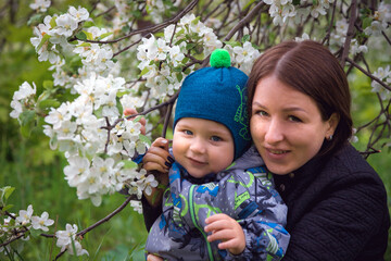 Portrait of a mother with a child in the garden in spring. Happy childhood. Blooming Apple tree.