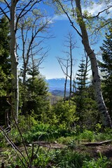 Rocky Mountain Wasatch Front peaks, panorama landscape view from Butterfield Canyon Oquirrh range by Rio Tinto Bingham Copper Mine, Great Salt Lake Valley in fall. Utah, United States.