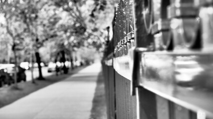 Day 75 of the pandemic in Halifax, fence, closeup, selective focus.