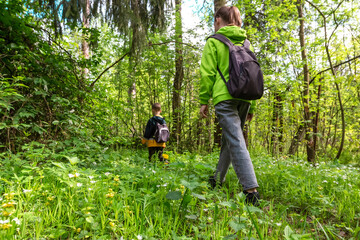 Mother and son with rucksacks walking during hiking activities in spring green forest. Children travel along woods path with blooming wild flowers. Family picnic in nature. Rear view of two travelers